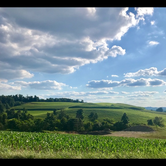 Meet your Posher, Nicole - Picture 1 of 1